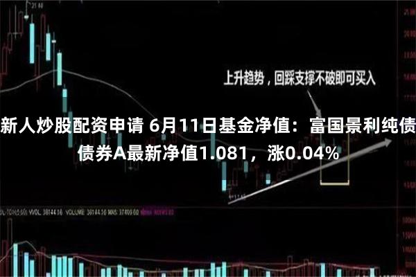 新人炒股配资申请 6月11日基金净值：富国景利纯债债券A最新净值1.081，涨0.04%